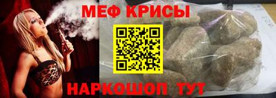 индика Кингисепп