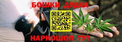 индика Кингисепп