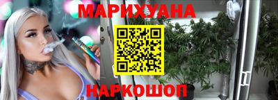 индика Кингисепп