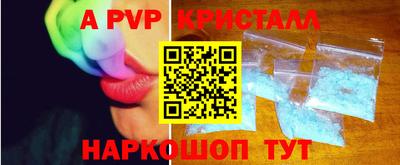 индика Кингисепп