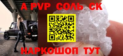 индика Кингисепп