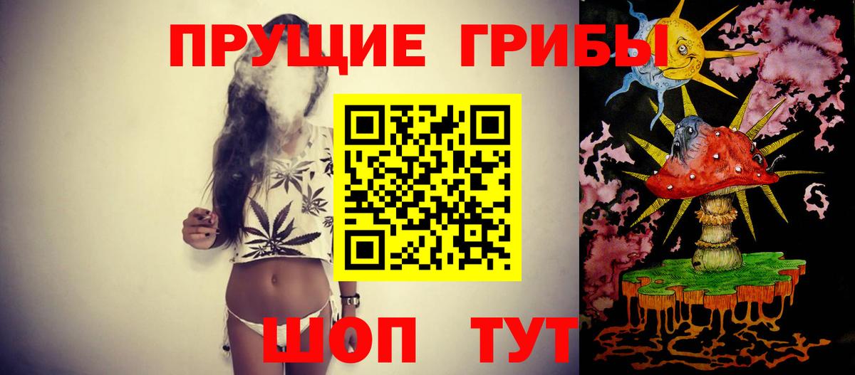 Псилоцибиновые грибы MAGIC MUSHROOMS Казань