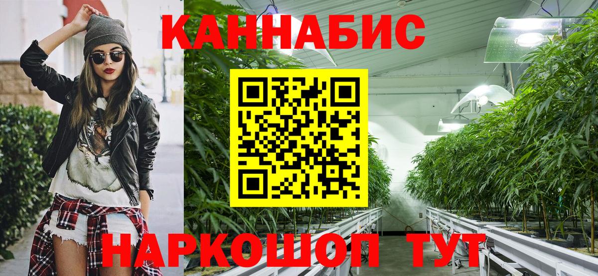 Конопля гибрид Казань